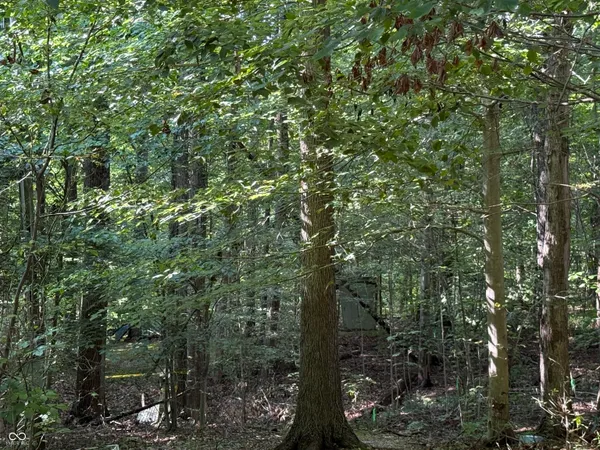 $115,500 | 0 Buffalo Road, Poland, IN 47868