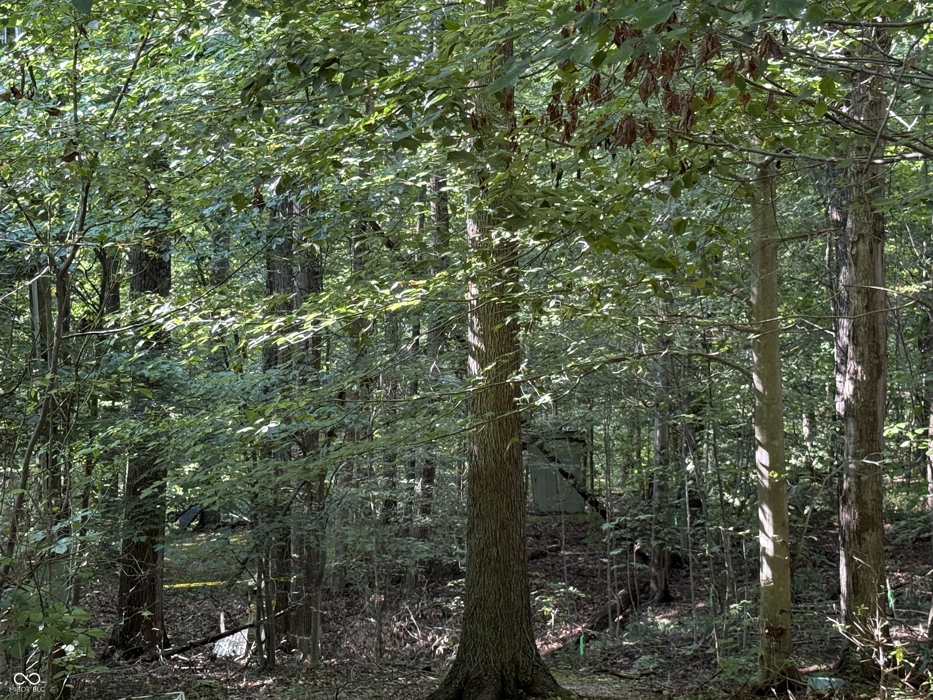 0 Buffalo Road Poland, IN 47868 - Photo 9 of 12