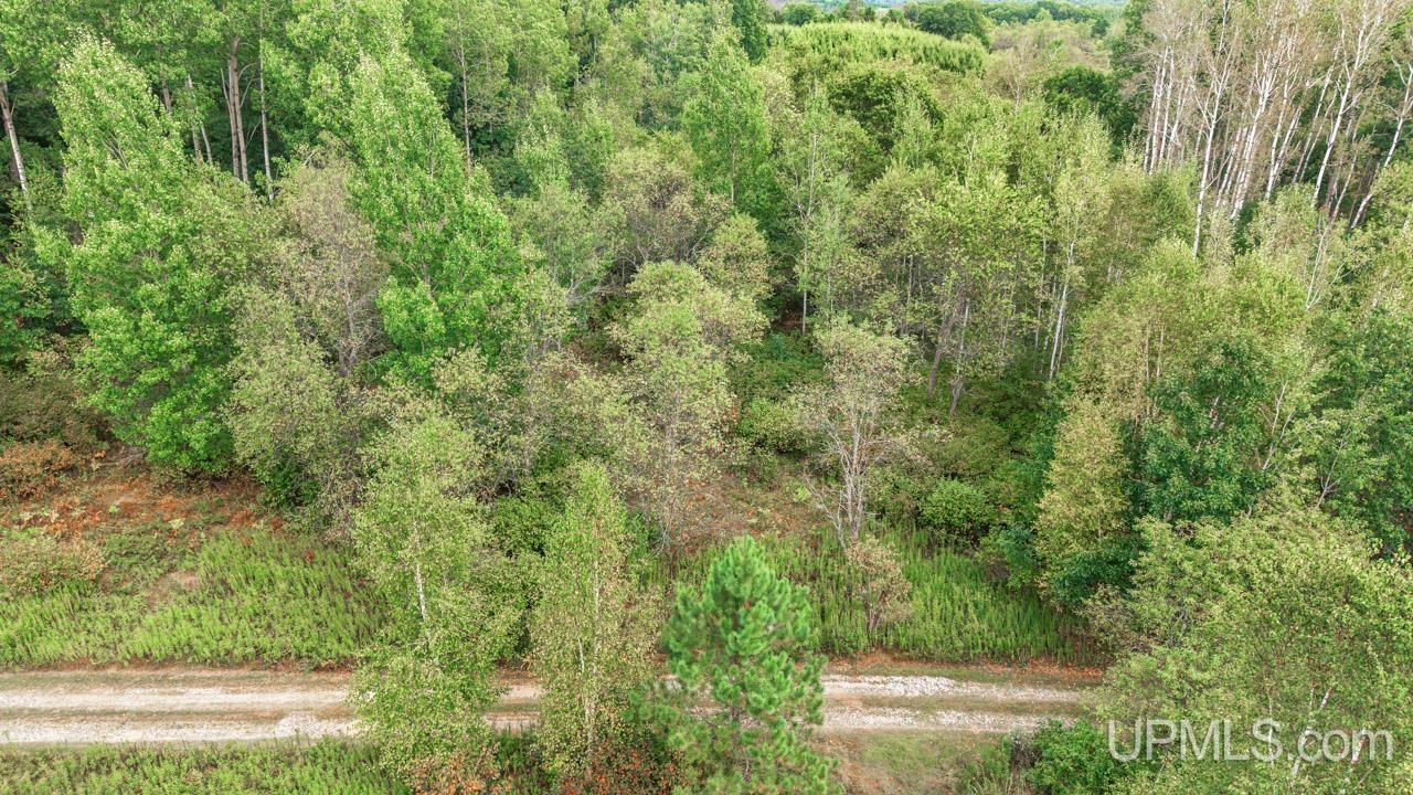 1271 Menominee River Road Florence, WI 54121 - Photo 12 of 20 Gallery Image 12