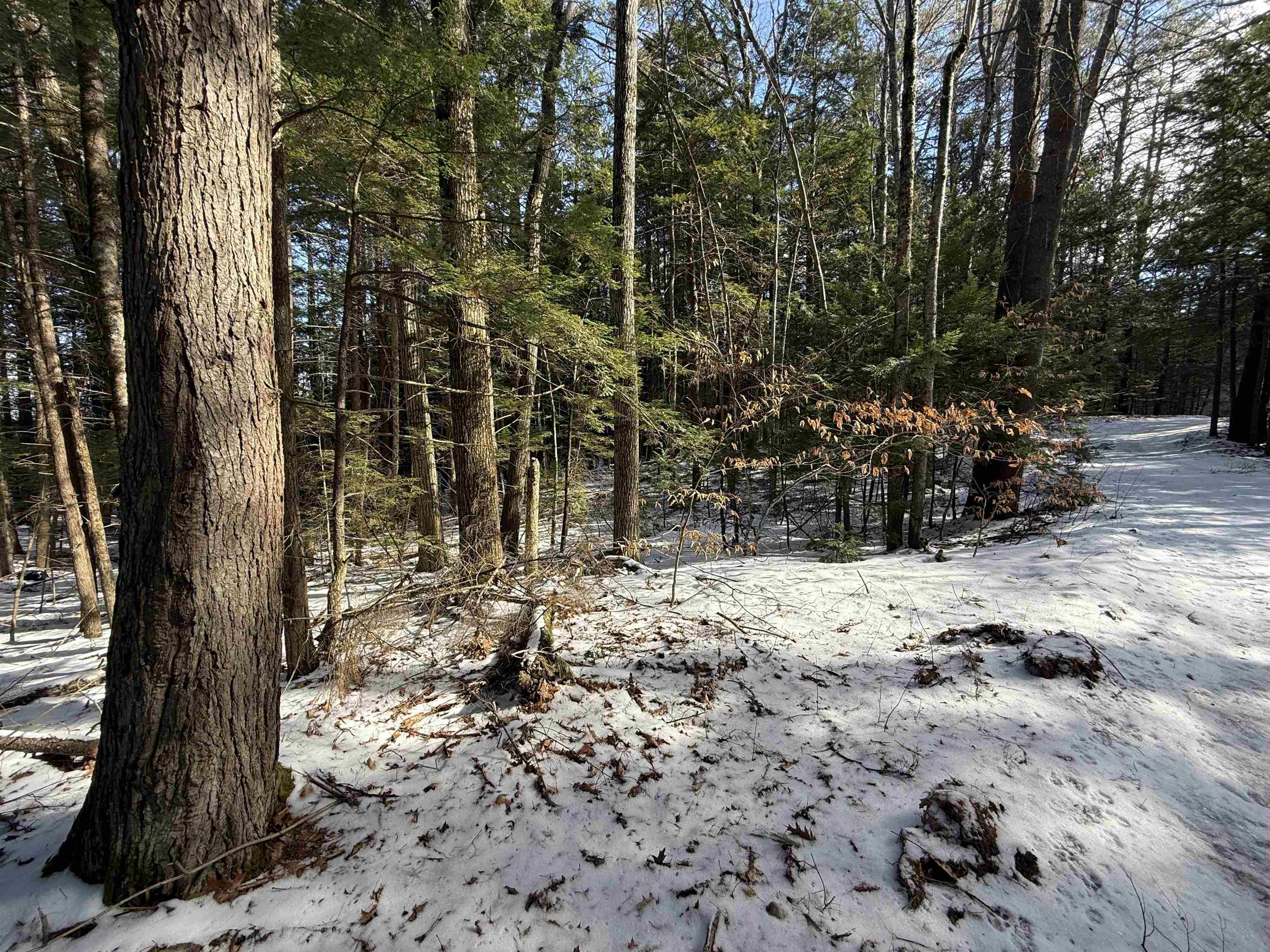 1 Shady Lane, Unit 1 New Hampton, NH 03256 - Photo 4 of 7