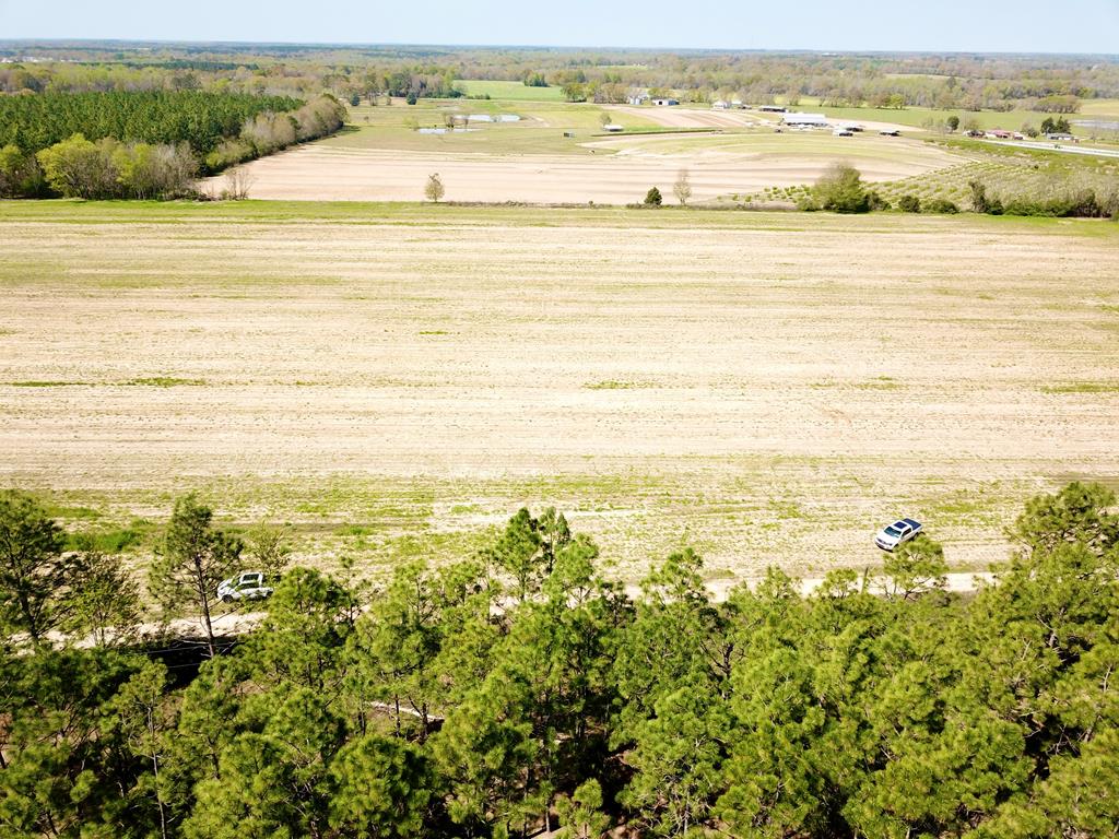 3.17-acres Summer Road Slocomb, AL 36375 - Photo 2 of 5