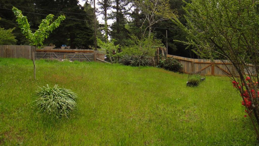 37 Fox Farm Road Trinidad, CA 95570 - Photo 33 of 55