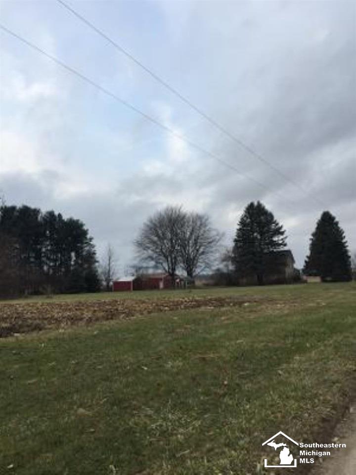 5200 Stull Road Petersburg, MI 49270 - Photo 2 of 16 50016798-1.JPG
