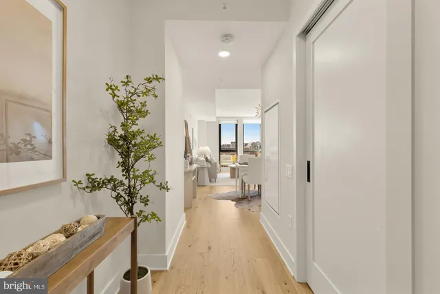 a view of a hallway with a potted plant