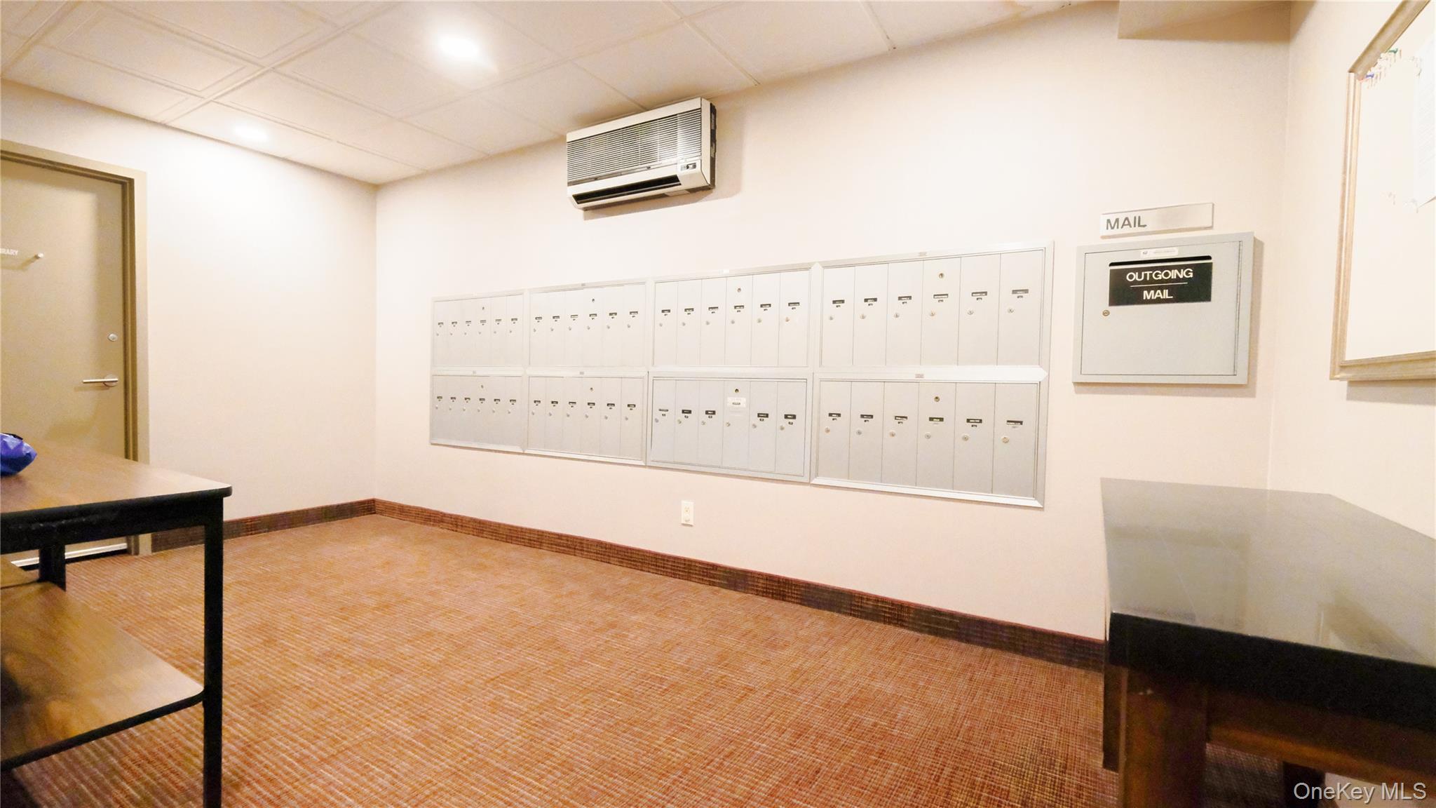 20 Canterbury Road, Unit 1P Great Neck, NY 11021 - Photo 23 of 28 Mailroom
