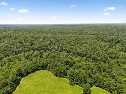 $689,000 | 7941 Fernvale Road, Fairview, TN 37062