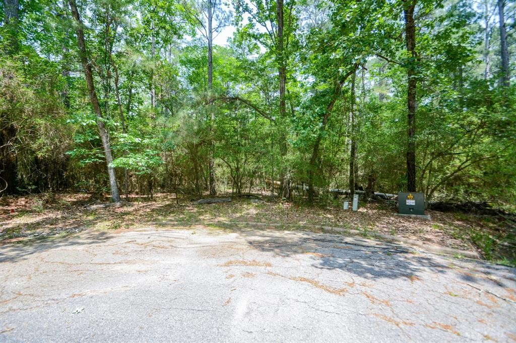 0 Rohm Place Point Blank, TX 77364 - Photo 15 of 25