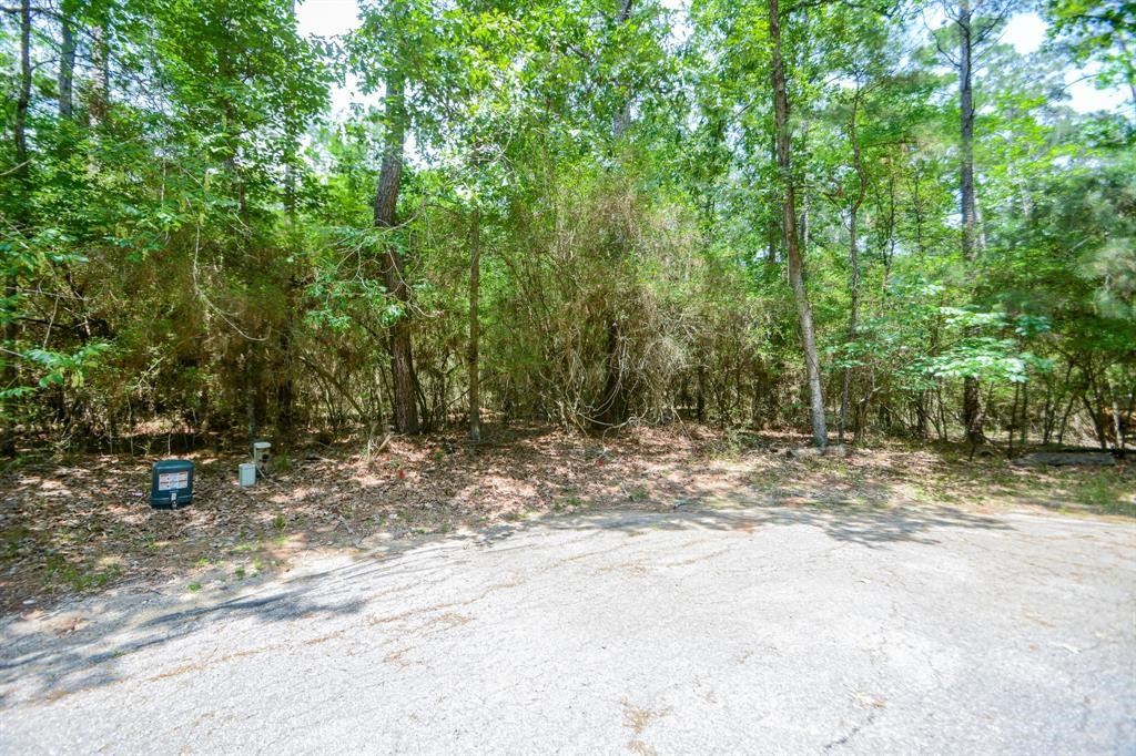 0 Rohm Place Point Blank, TX 77364 - Photo 17 of 25