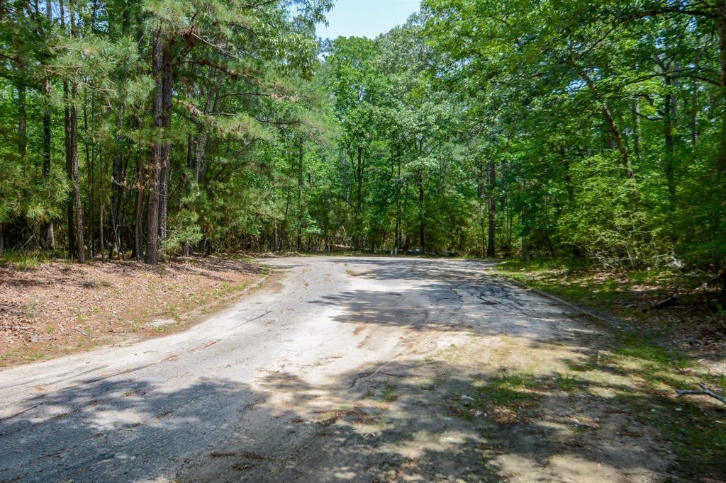 0 Rohm Place Point Blank, TX 77364 - Photo 21 of 25
