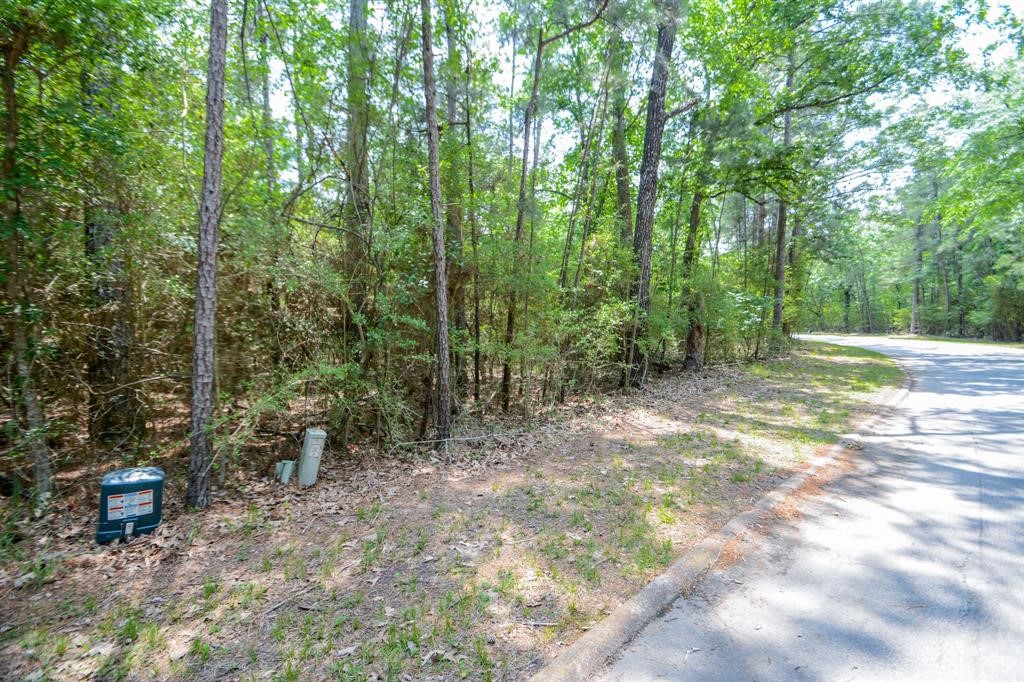 0 Rohm Place Point Blank, TX 77364 - Photo 9 of 25