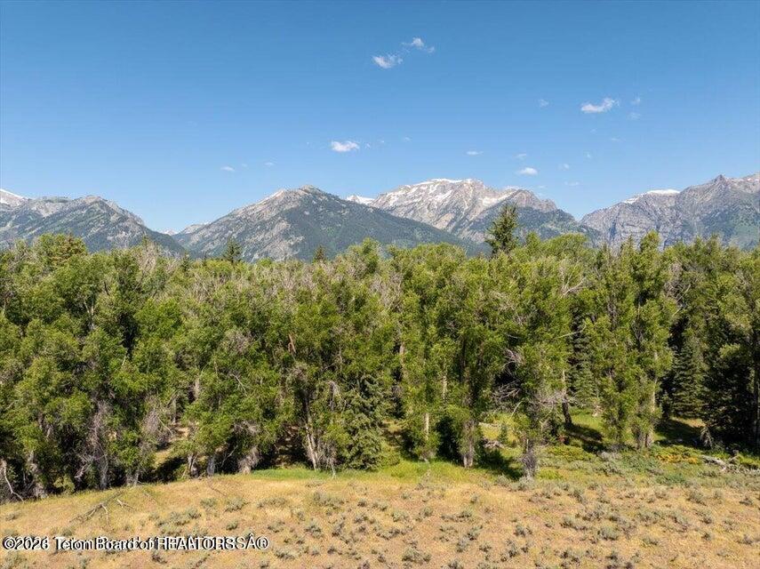 300 Reed Drive Jackson, WY 83001 - Photo 12 of 14 300 pic3