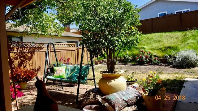 a view of a backyard with plants and patio