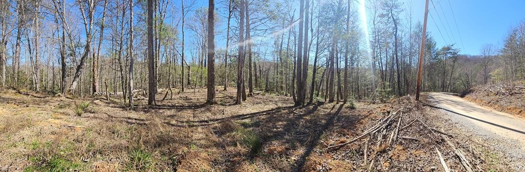 5009 Mathis Branch Road Cosby, TN 37722 - Photo 19 of 21 Gallery Image 19