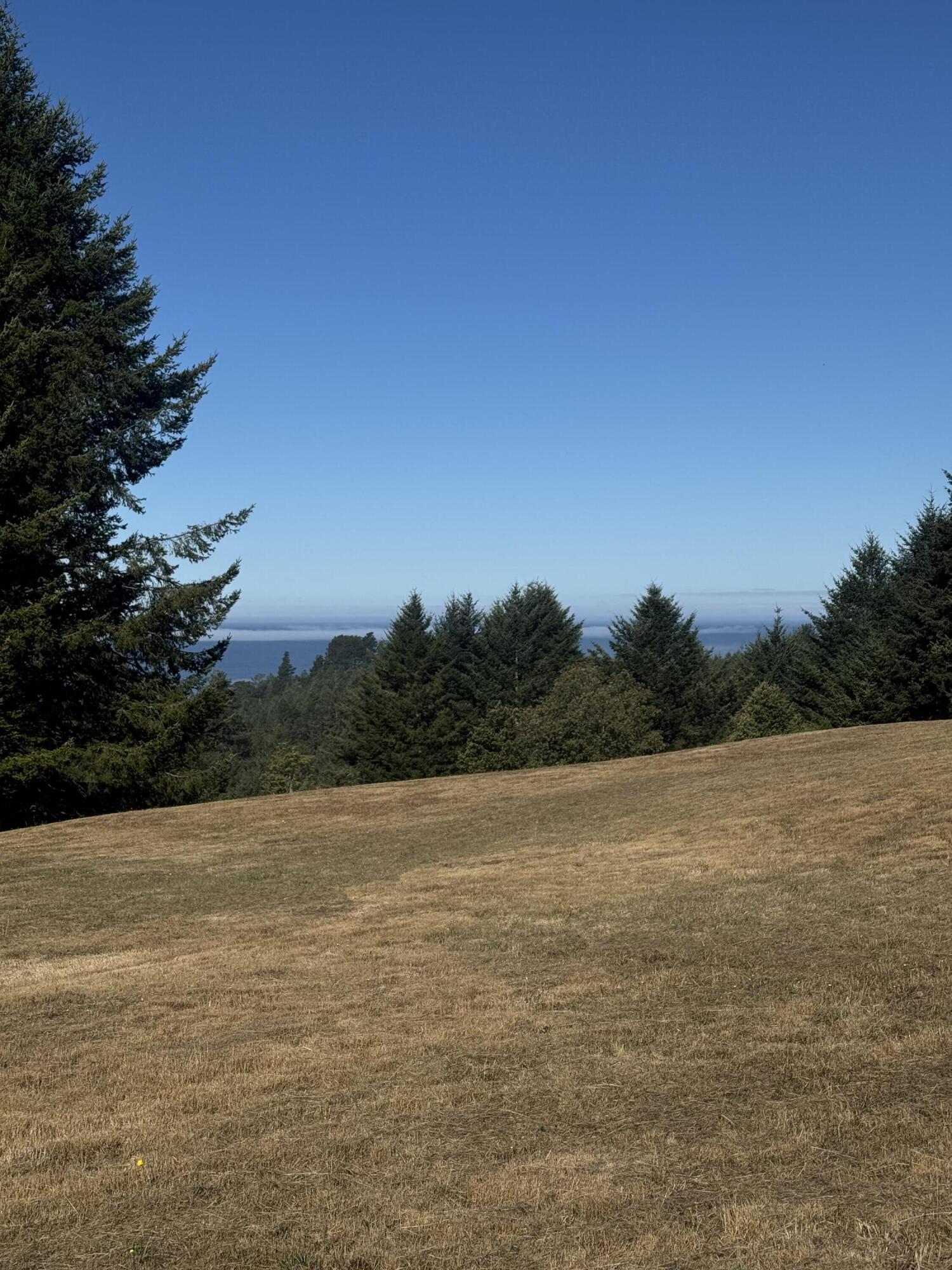 5 Spring Road Shelter Cove, CA 95589 - Photo 3 of 5 View