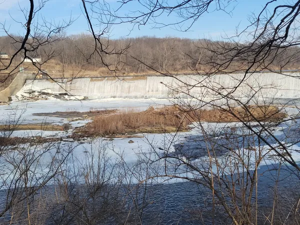 a view of a yard with wooden fence