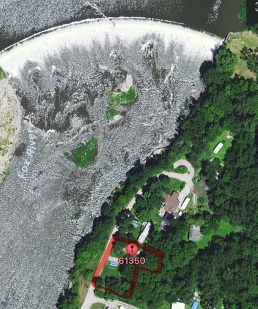 a close up of a flower in a garden