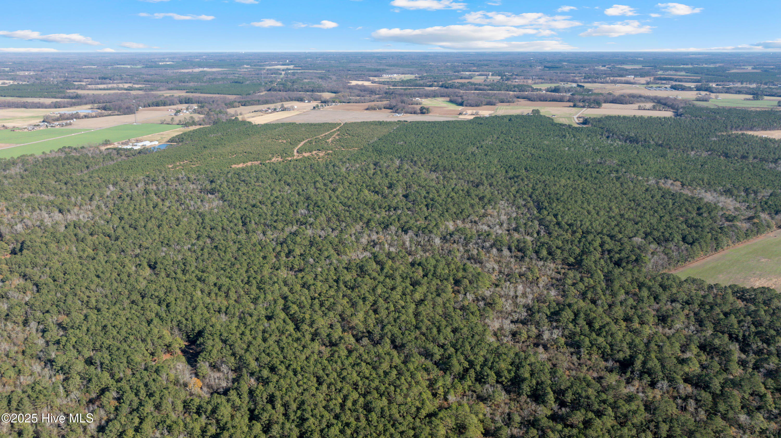 0 Cannan Road Mount Olive, NC 28365 - Photo 3 of 7 CorbettRd-NewtonGroveNC-2