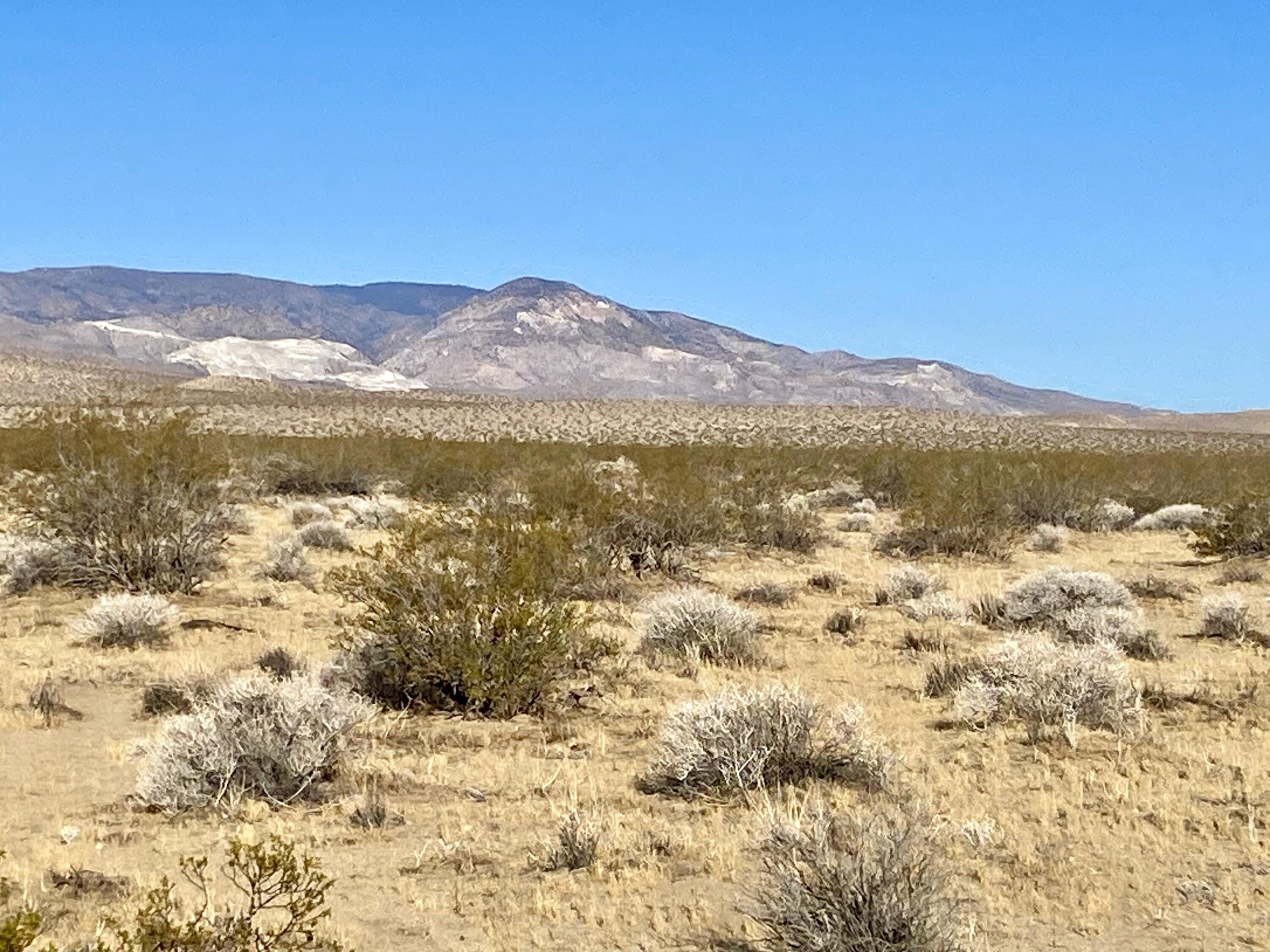 104 Joshua Tree Road Johnson Valley, CA 92285 - Photo 19 of 55 IMG_8401