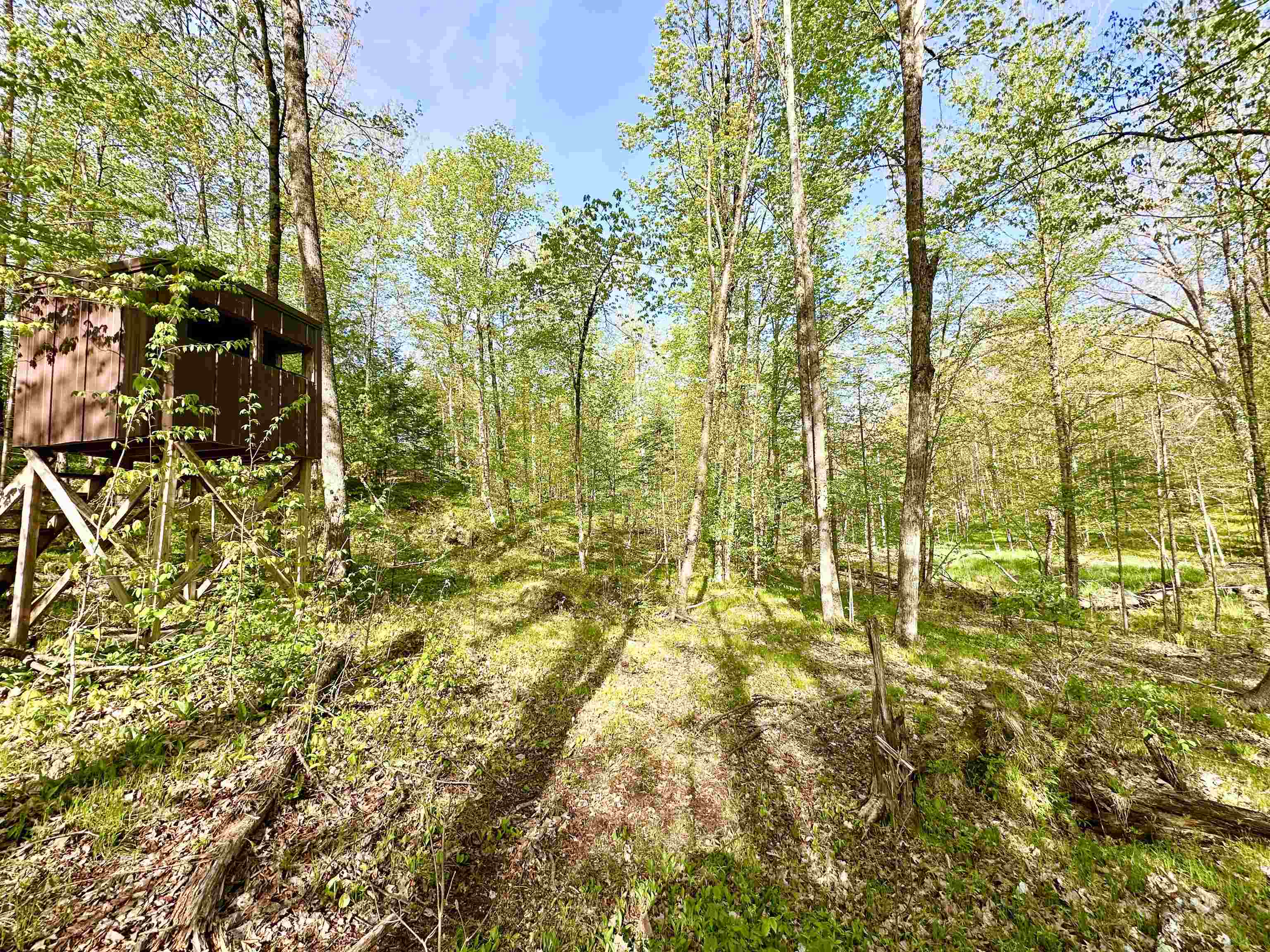 W10680 County Rd J Deerbrook, WI 54424 - Photo 41 of 47