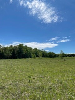 T/b/d Fieldcrest Road Sister Bay, WI 54234 - Photo 11 of 15