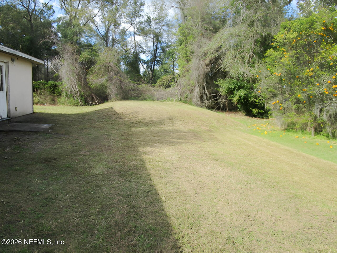 7070 3rd Street St. Augustine, FL 32092 - Photo 4 of 22 a view of a yard with a tree