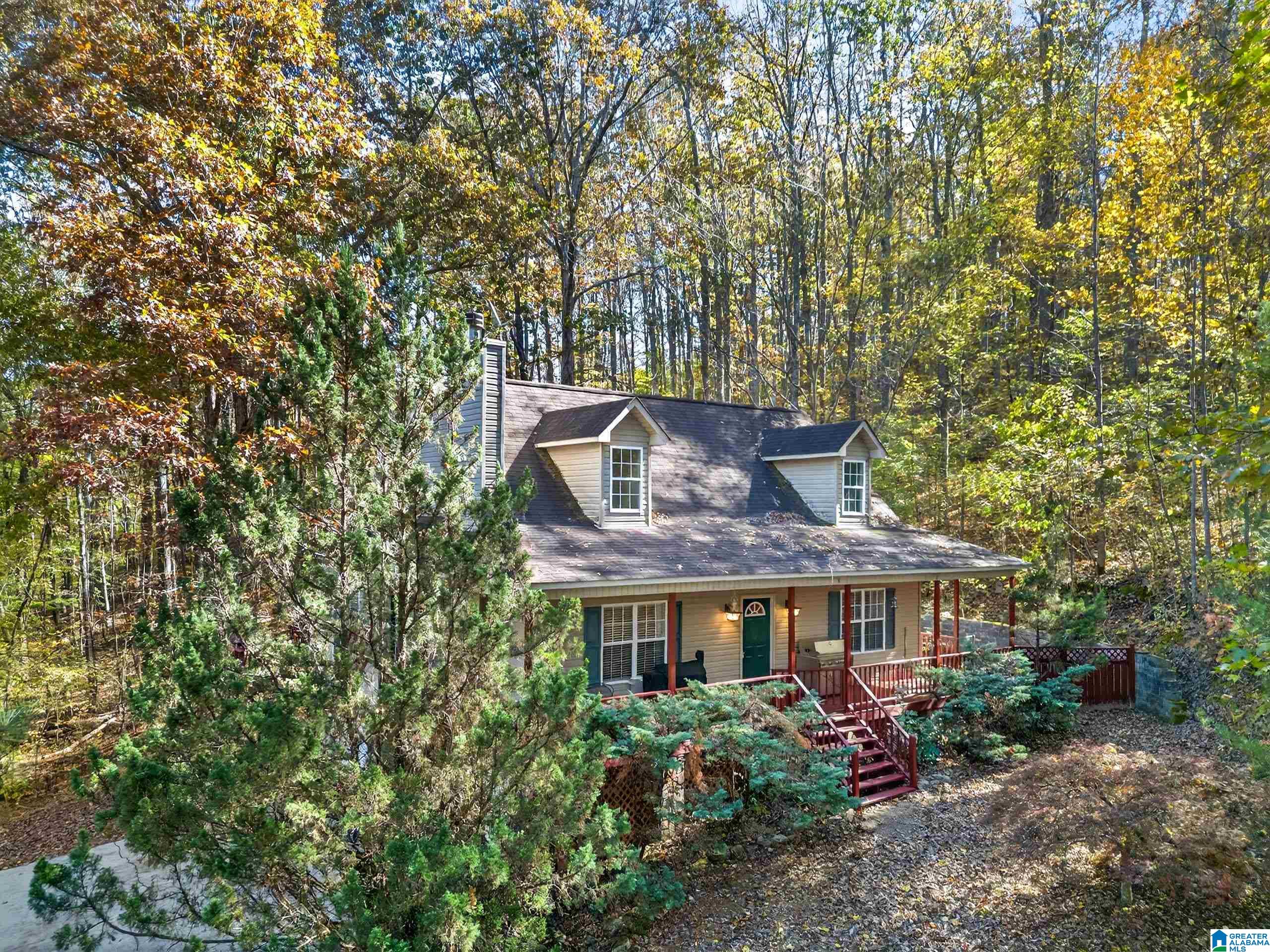995 Beaver Ridge Drive Ashville, AL 35953 - Photo 3 of 46