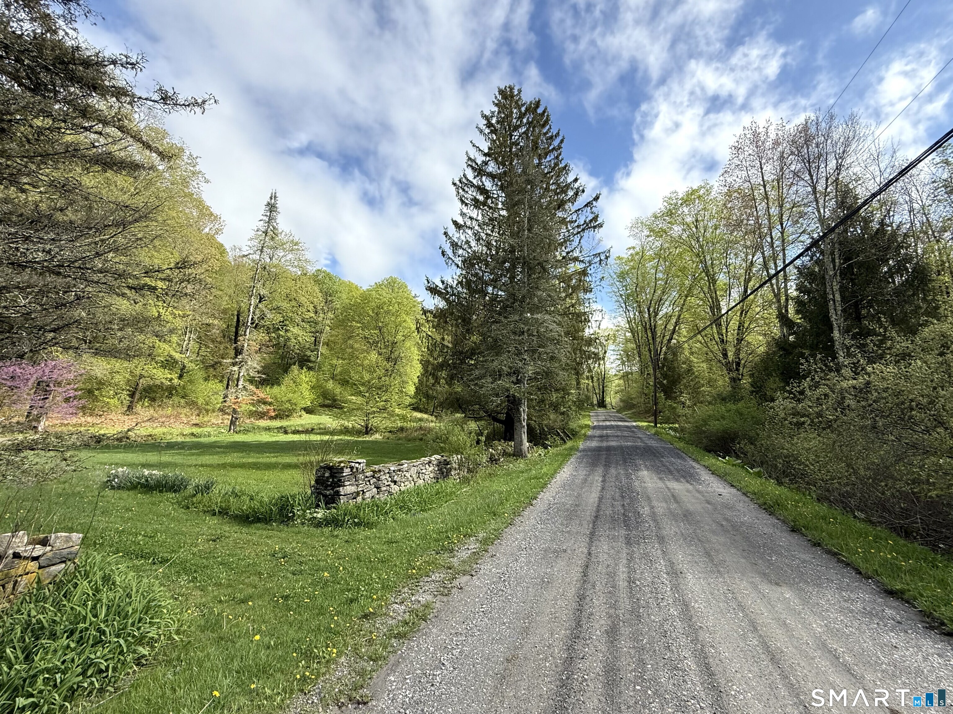 44 Keeler Road Sharon, CT 06069 - Photo 26 of 26 a view of a yard with plants and large trees