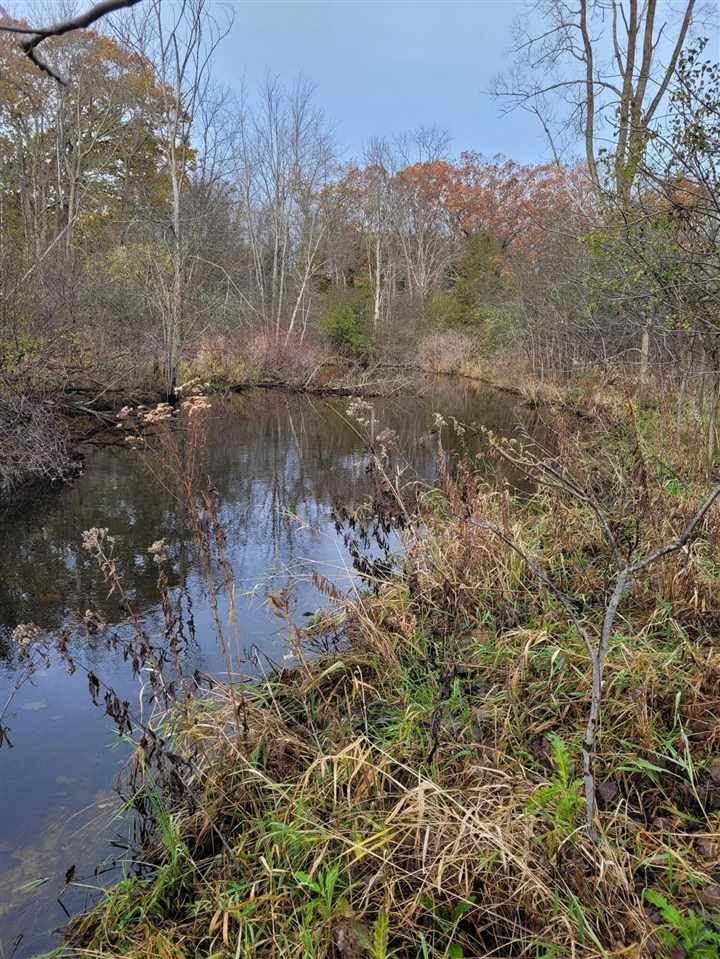 3400 South Bird Lake Road South Osseo, MI 49266 - Photo 18 of 63