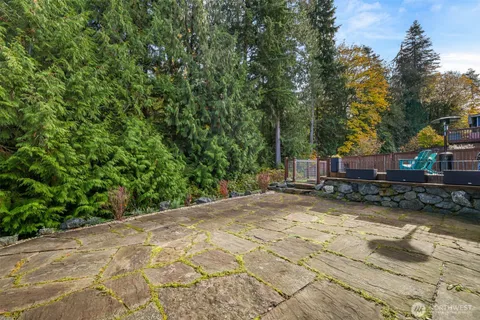 a view of a yard with plants and trees