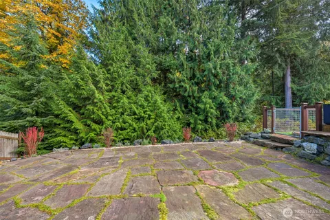 a view of a backyard with large trees