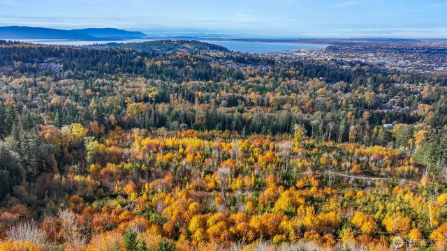 a view of city and green space