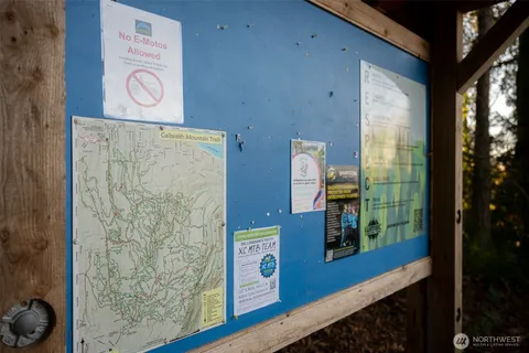 a view of path and trees