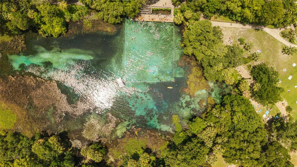 19639 Southwest 77th Loop Dunnellon, FL 34432 - Photo 58 of 59