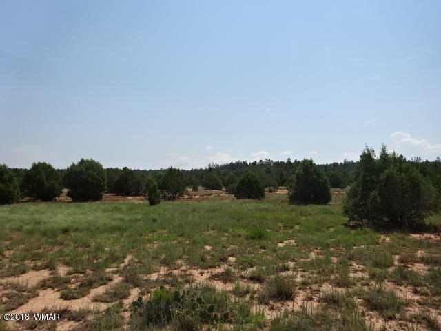 7107 Smith Ranch Road Show Low, AZ 85901 - Photo 8 of 17 Gallery Image 8