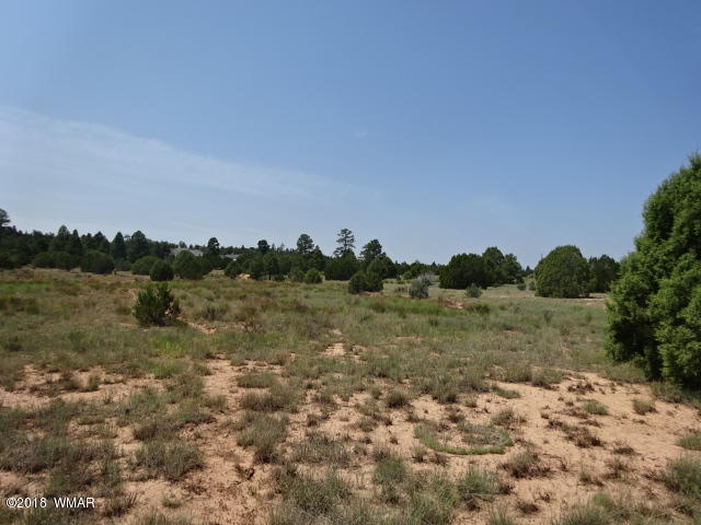 7107 Smith Ranch Road Show Low, AZ 85901 - Photo 9 of 17 Gallery Image 9