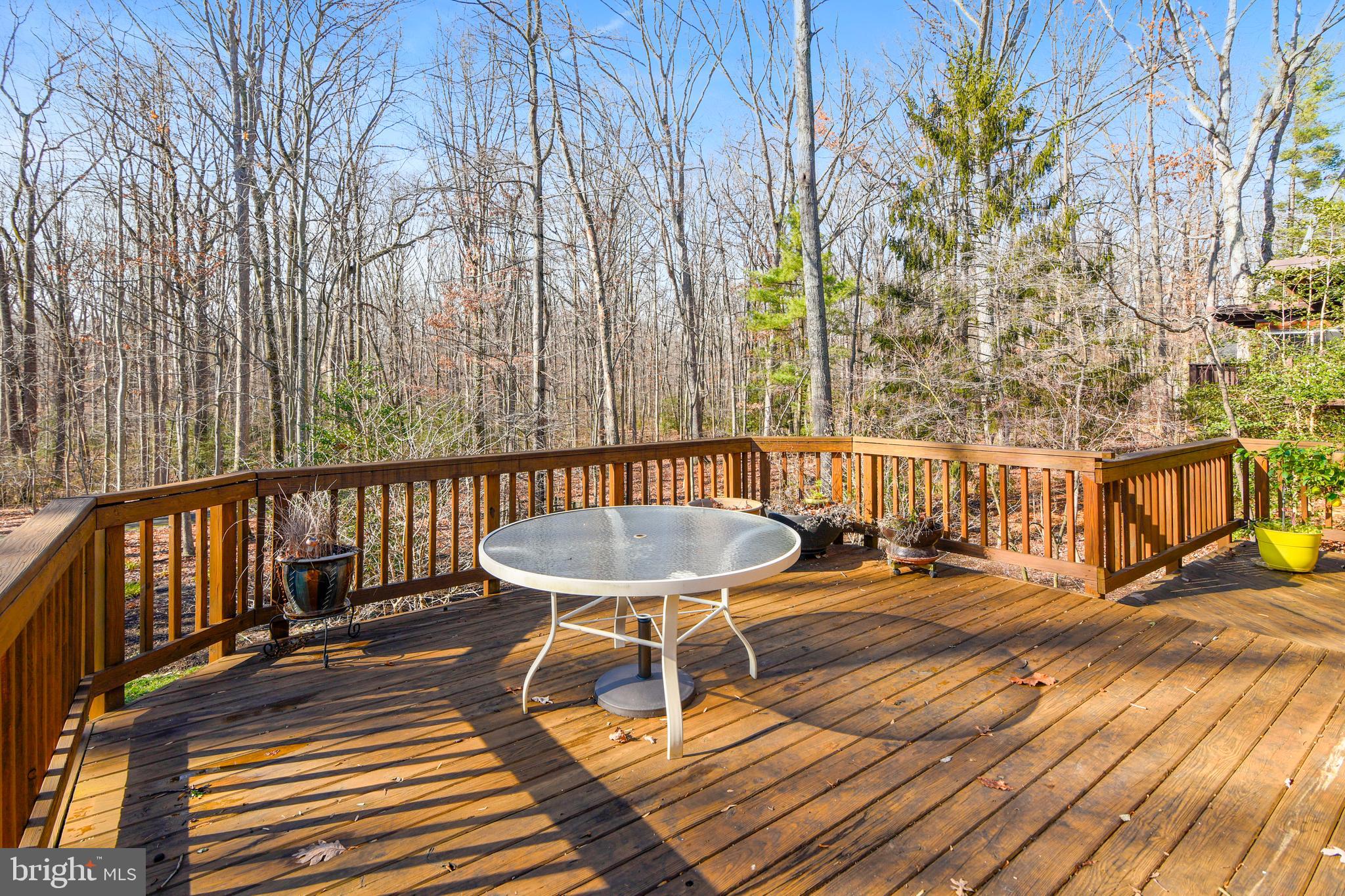 2420 Silver Fox Lane Reston, VA 20191 - Photo 39 of 79 Center section of rear deck