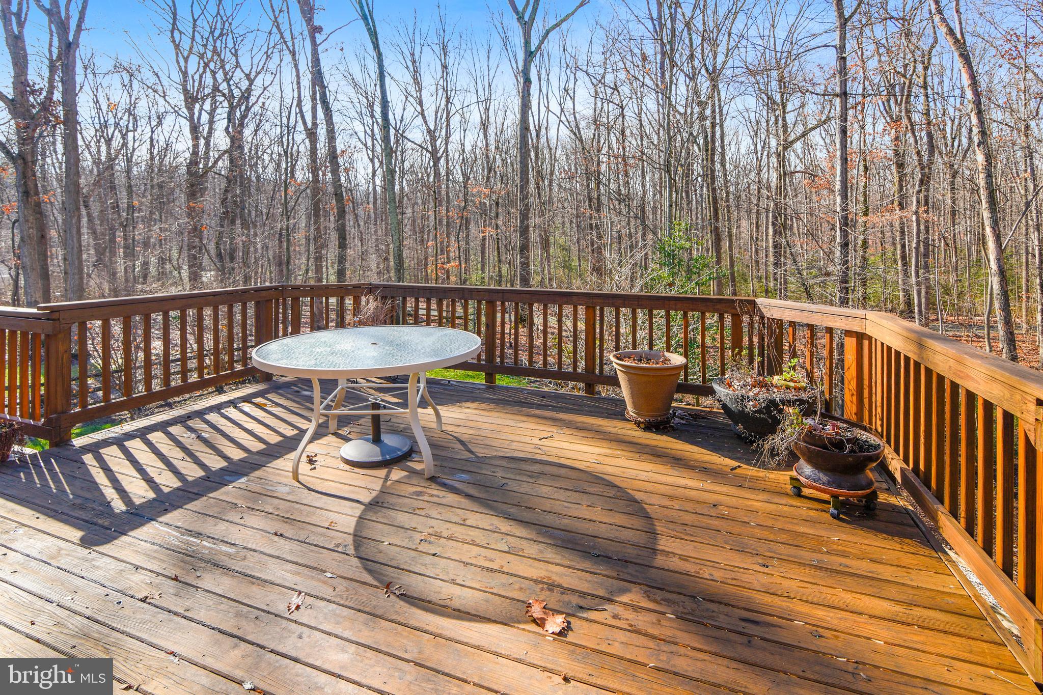 2420 Silver Fox Lane Reston, VA 20191 - Photo 40 of 79 Can hold a table for 10-12 OR a lot of plants!