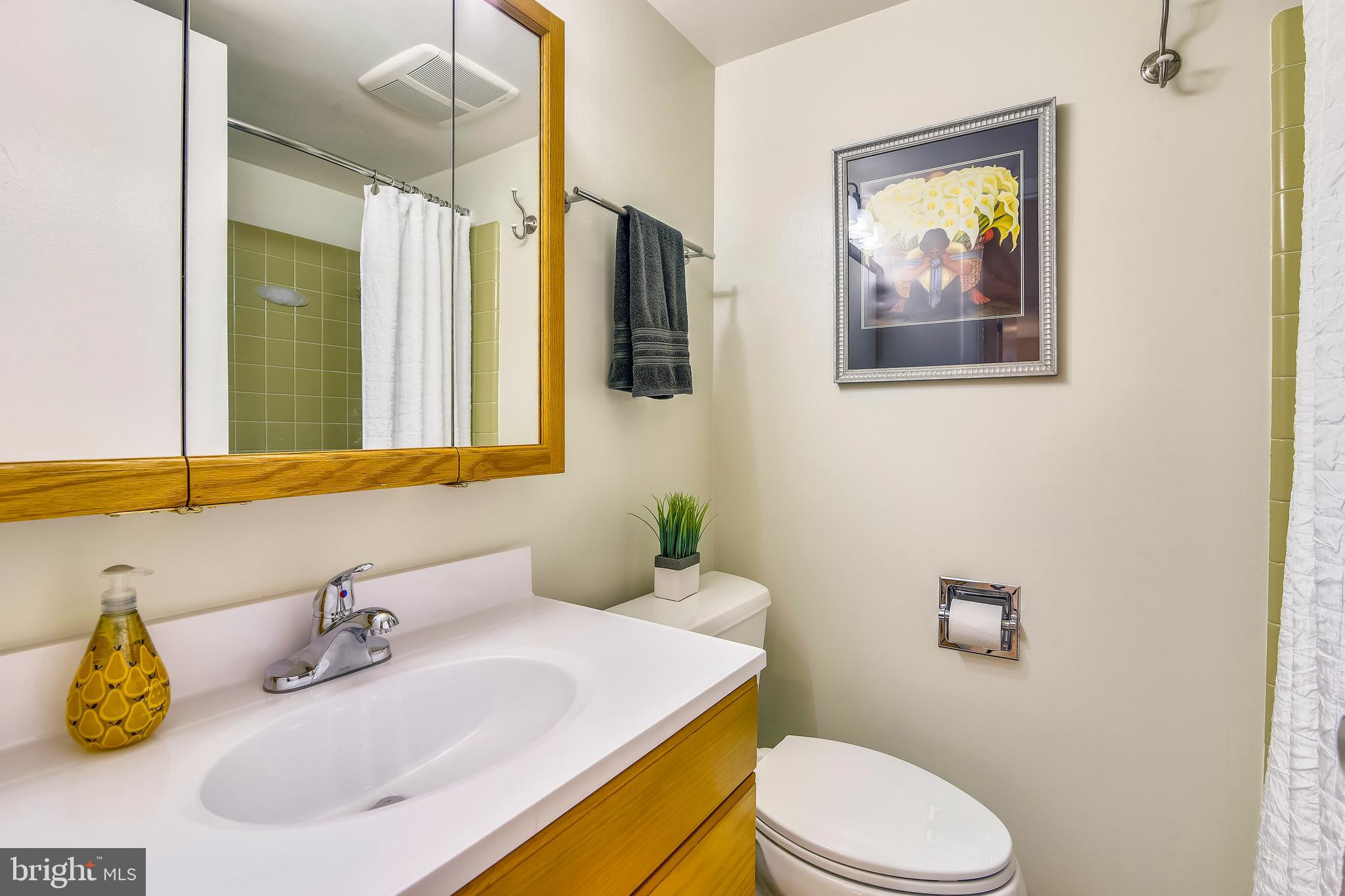 2420 Silver Fox Lane Reston, VA 20191 - Photo 49 of 79 LL FULL BATH