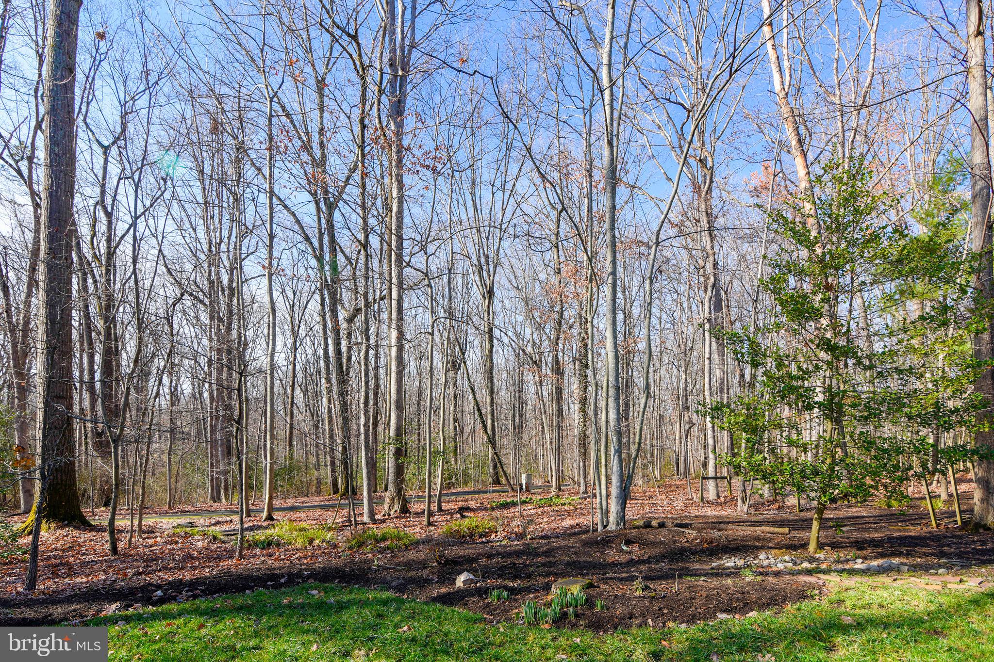 2420 Silver Fox Lane Reston, VA 20191 - Photo 78 of 79 Home backs to woods & RA pathways