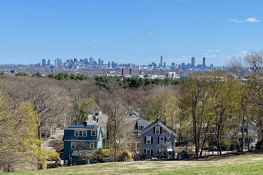 55 Coolidge Road Arlington, MA 02476 - Photo 41 of 42 a view of a city with tall buildings in the background