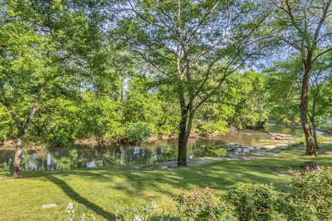 a view of a trees in a yard