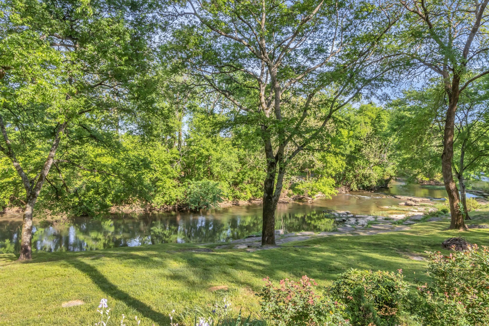 2248 Racquet Club Drive Murfreesboro, TN 37128 - Photo 38 of 41 a view of a trees in a yard