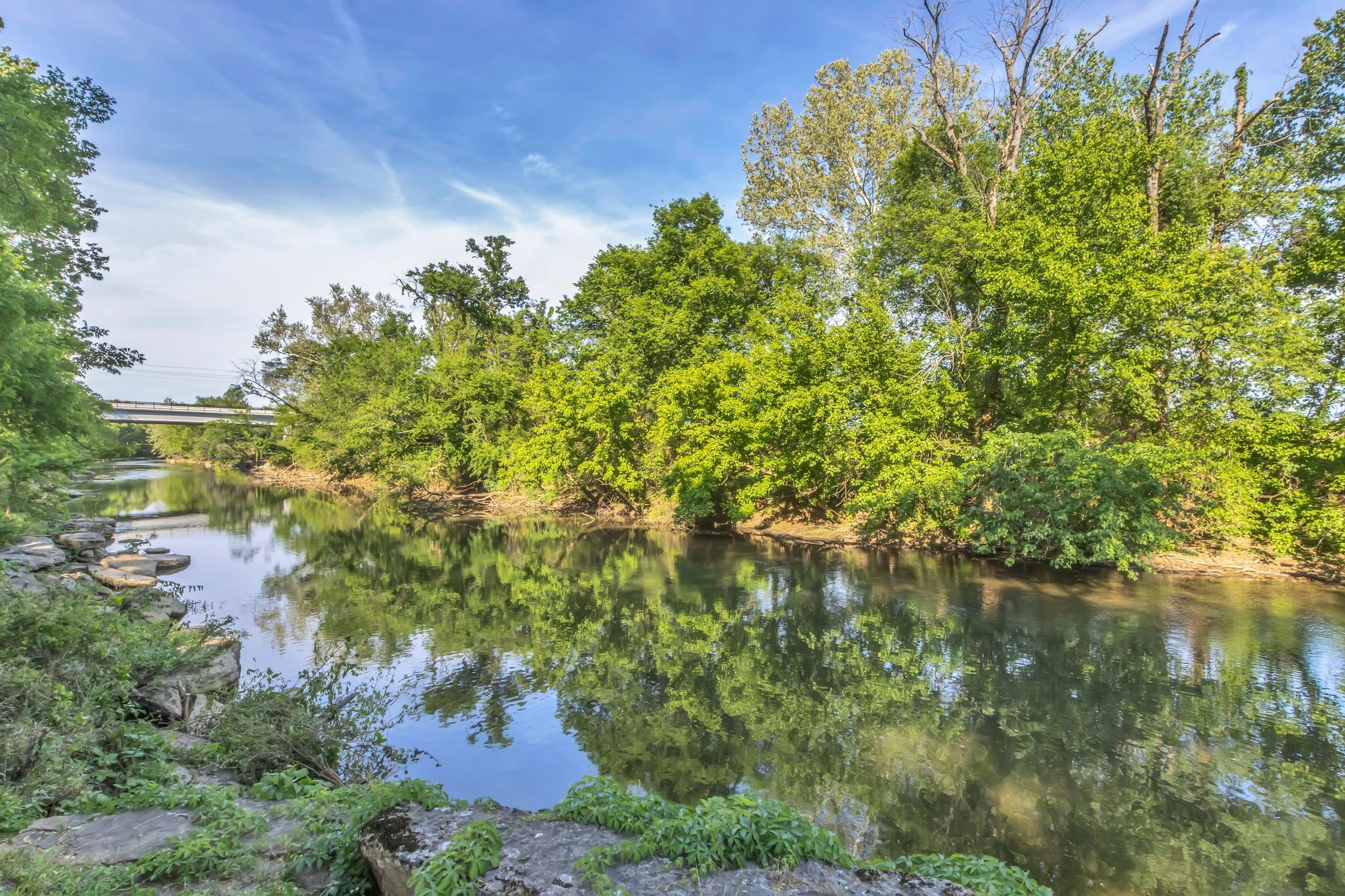 2248 Racquet Club Drive Murfreesboro, TN 37128 - Photo 39 of 41