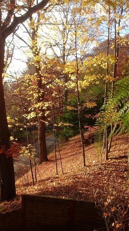 520 Sycamore Road Sewickley, PA 15143 - Photo 22 of 24 Gallery Image 22