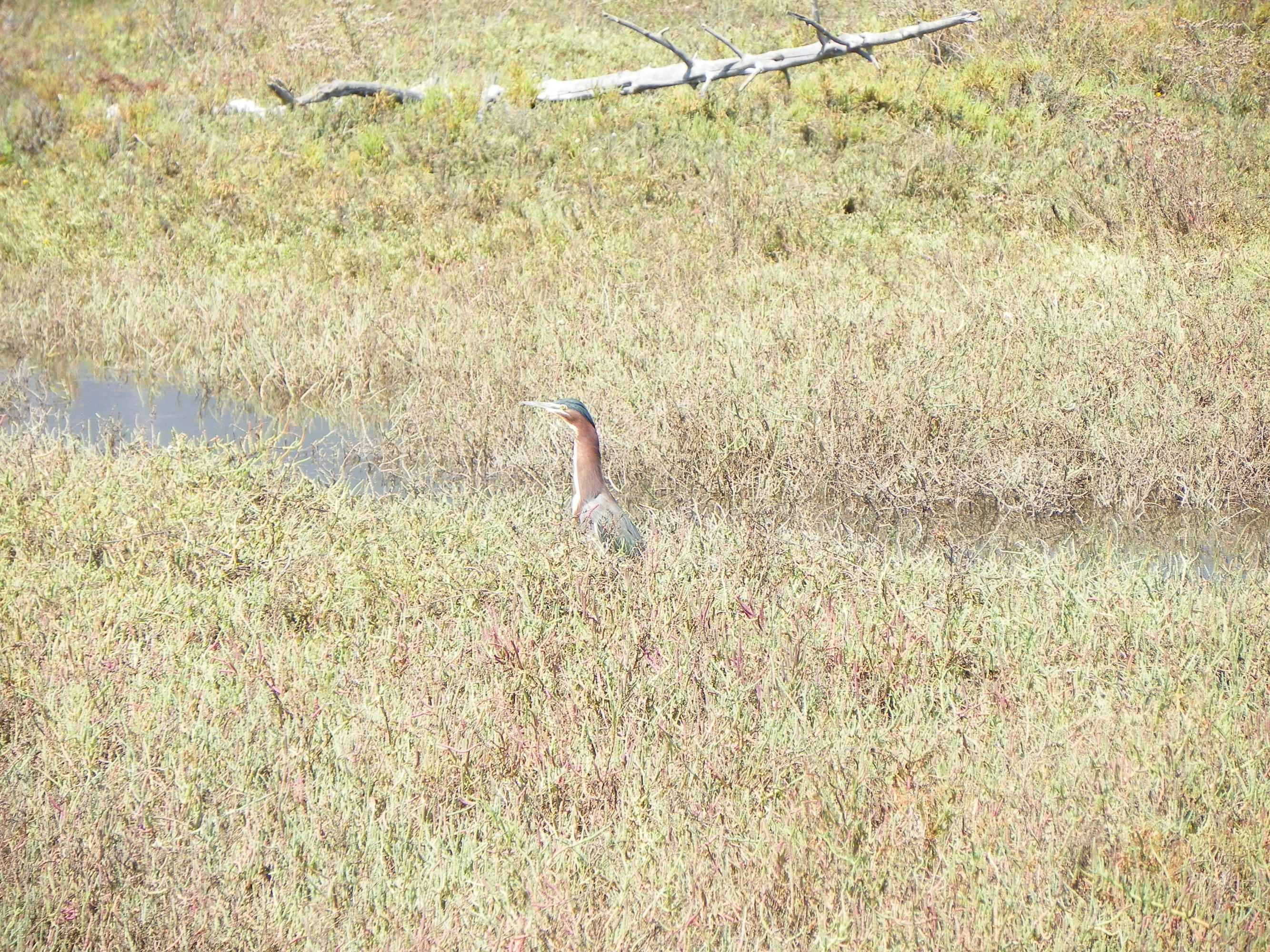 501 Sand Point Road Carpinteria, CA 93013 - Photo 14 of 19 a bathroom with a shower curtain