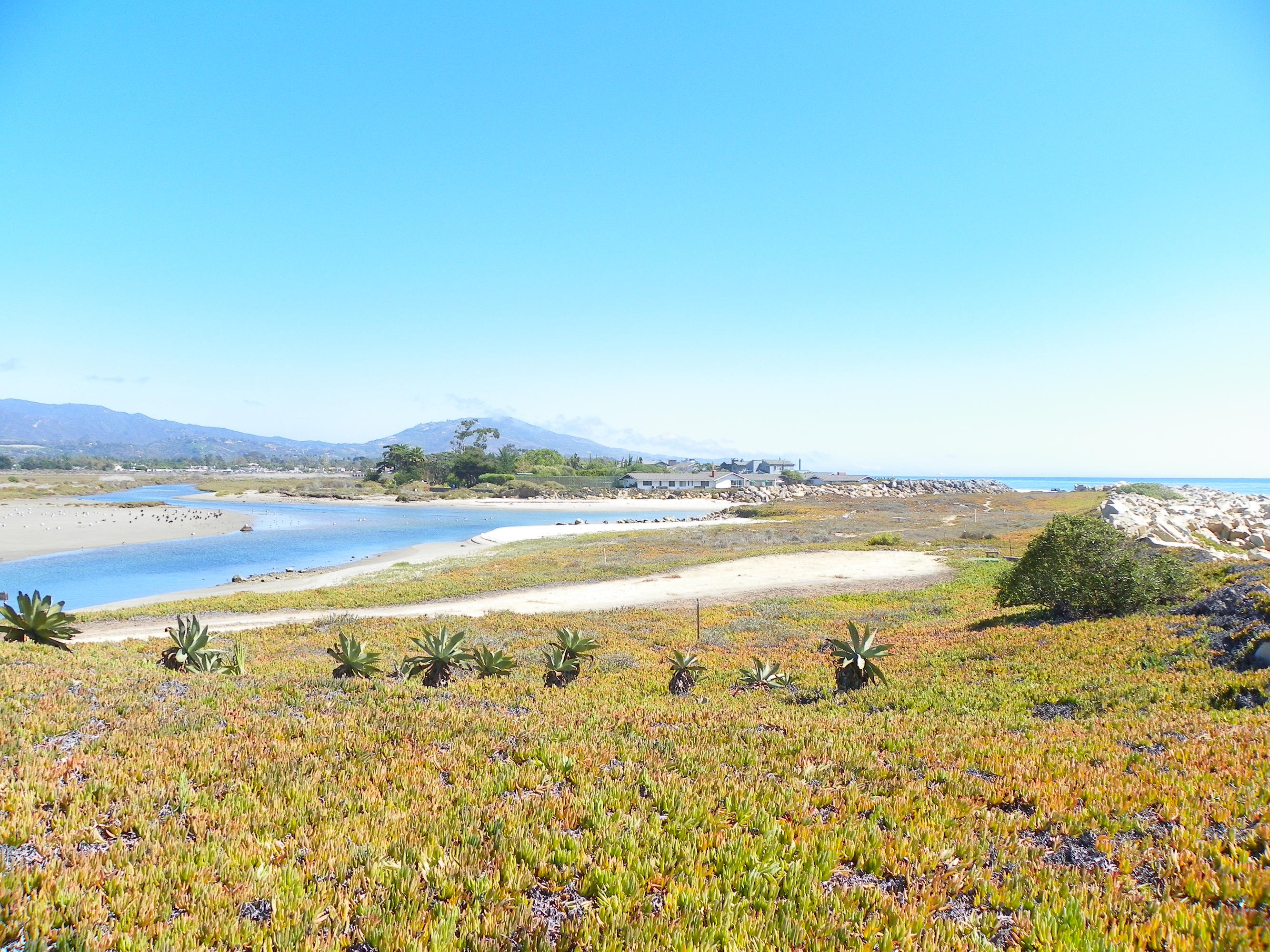 501 Sand Point Road Carpinteria, CA 93013 - Photo 16 of 19 a view of an ocean and beach