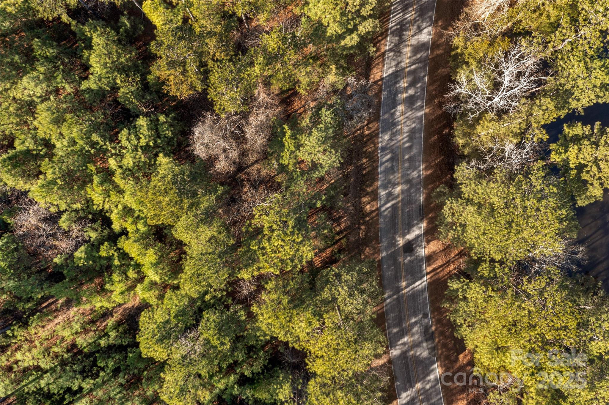 0 Old Douglass Road, Unit 3 Blackstock, SC 29014 - Photo 19 of 29 Gallery Image 19