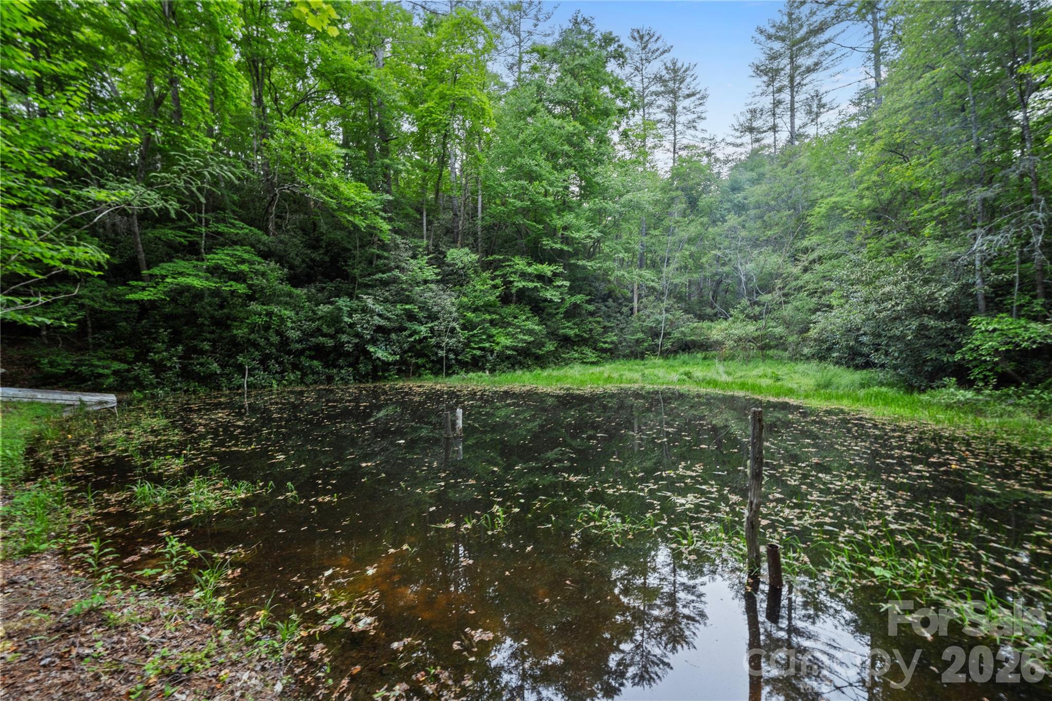 6029 Mulberry Church Road Lenoir, NC 28645 - Photo 12 of 48