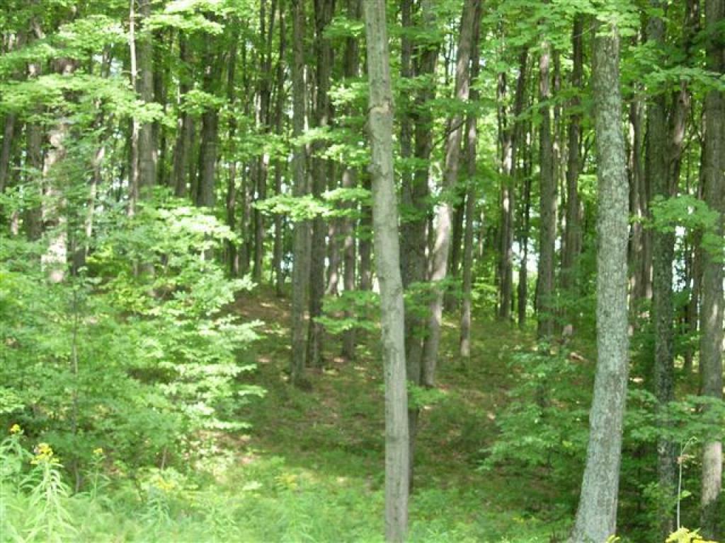 46 Jenne Road Hartland, VT 05089 - Photo 11 of 40