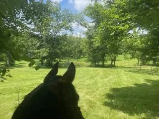 $800,000 | 34307 East Drinkwater Road, Lone Jack, MO 64070